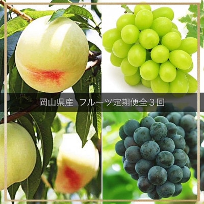 【発送月固定定期便】岡山県産  フルーツ定期便全3回