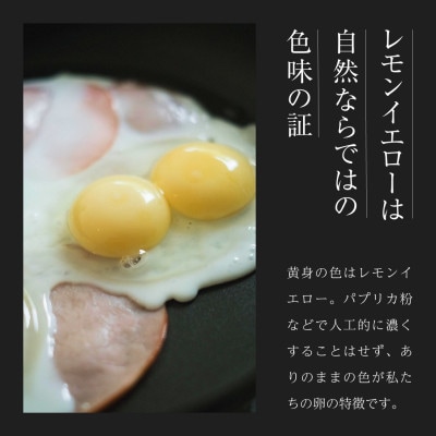 平飼い有精卵 20個《西粟倉村》【株式会社点々】