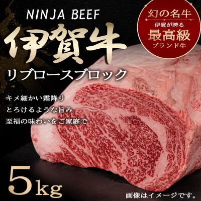 【伊賀牛】忍者ビーフ リブロース5kgブロック