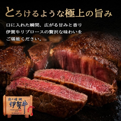 【伊賀牛】忍者ビーフ リブロース5kgブロック