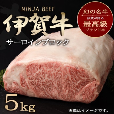 【伊賀牛】特大!忍者ビーフサーロインブロック5kg