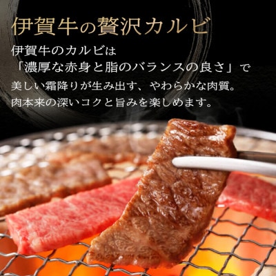 【伊賀牛】忍者ビーフ カルビ焼肉1.8kg