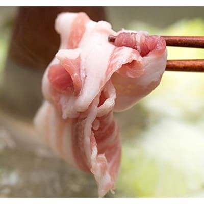伊賀産豚ももorウデ スライス1kg