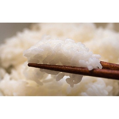 伊賀米 こしひかり(白米) 15kg(5kg×3)