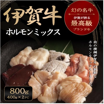 伊賀牛ホルモンミックス約800g(約400g×2パック)