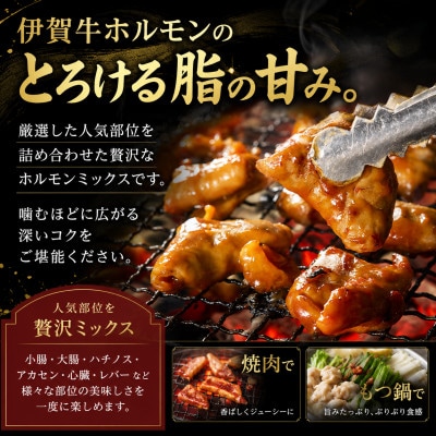 伊賀牛ホルモンミックス約800g(約400g×2パック)