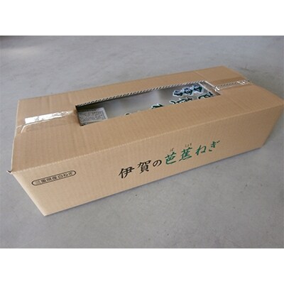 伊賀の芭蕉ねぎ  (10袋入り) 