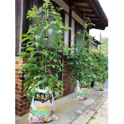 花野果酵母　ビール酵母分解入り　花と野菜の土　80リットル(20L×4袋)