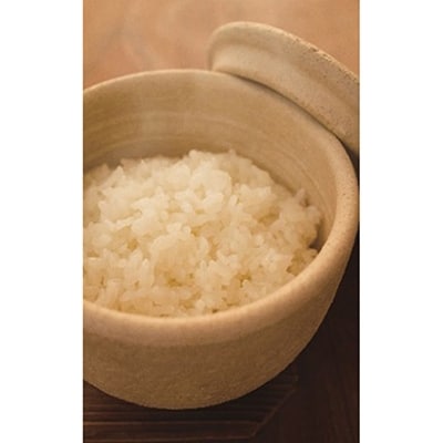 長谷園　伊賀焼 おひつ「陶珍」黄瀬戸小(ごはん約1合分)