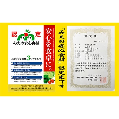 【令和7年産】伊賀コシヒカリ特別栽培米「真米(しんまい)」10kg【先行受付】