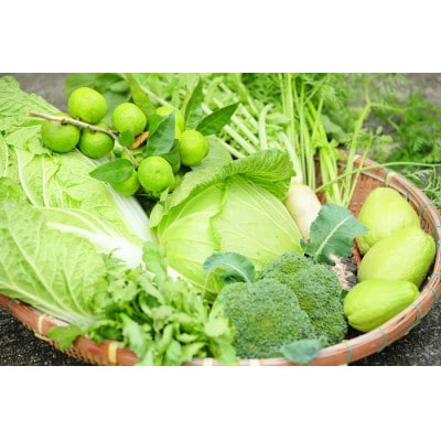 忍びの国の野菜セット