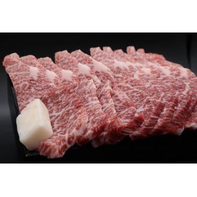 【肉の横綱　伊賀牛】三重県産　伊賀牛焼き肉用500g