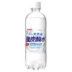 2023年5月発送開始『定期便』サンガリア 伊賀の天然水強炭酸水 500ml24本入1ケース 全3回 | ふるさと納税のお礼品
