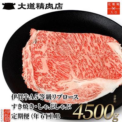 【2ヵ月毎定期便】伊賀牛 A5リブロース 6回定期便コースB 合計4500g 全6回