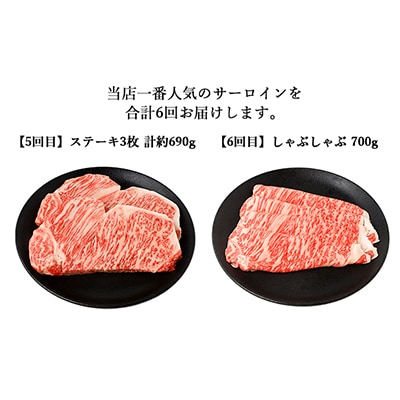 【2ヵ月毎定期便】伊賀牛 A5サーロイン 定期便コースB  総合計4.1kg 全6回