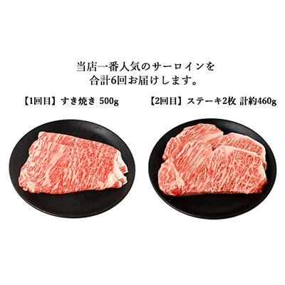 【2ヵ月毎定期便】伊賀牛 A5サーロイン 定期便コースC  総合計2.9kg 全6回