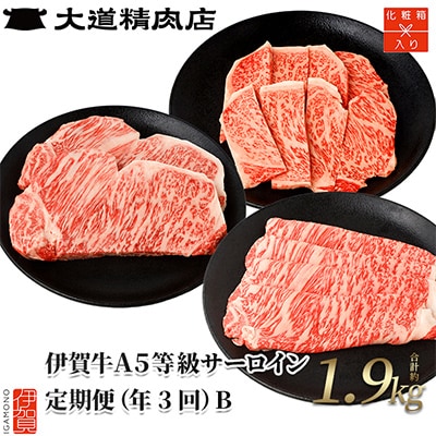 【2ヵ月毎定期便】伊賀牛 A5サーロイン 定期便コースB 総合計1.9kg 全3回