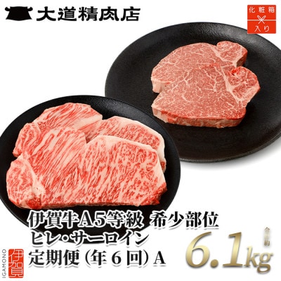 【発送月固定定期便】伊賀牛 A5ヒレサーロインA 総合計6.1kg全6回