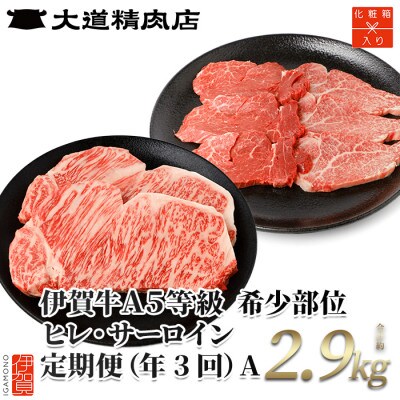 【2ヵ月毎定期便】伊賀牛 A5ヒレサーロインA 総合計2.9kg全3回