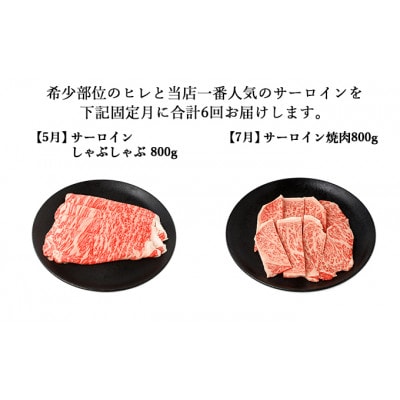【発送月固定定期便】伊賀牛 A5ヒレサーロインB 総合計4.7kg【奇数月発送】全6回