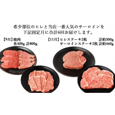【発送月固定定期便】伊賀牛 A5ヒレサーロインB 総合計4.7kg【奇数月発送】全6回