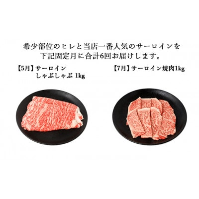 【発送月固定定期便】伊賀牛 A5ヒレサーロインA 総合計6.1kg【奇数月発送】全6回