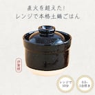 伊賀焼 レンジ炊飯土鍋　伊賀ノ匠　IG11