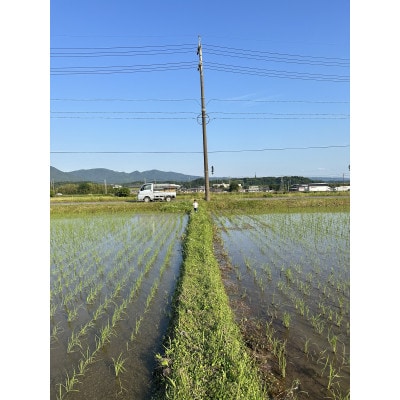 三重県産　伊賀米　コシヒカリ　精米　5kg