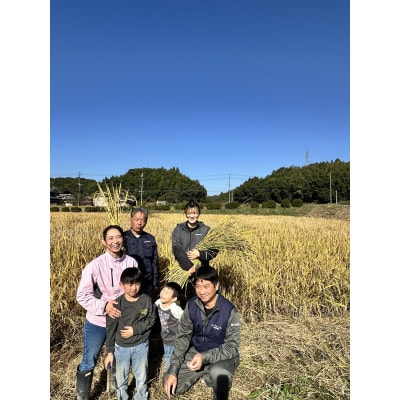 お任せ伊賀米　精米　10kg