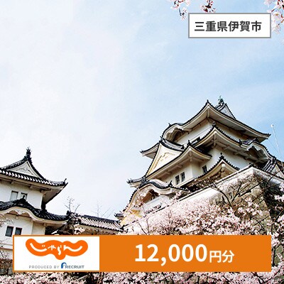【じゃらんふるさと納税クーポン】 三重県伊賀市でつかえる12,000円 クーポン