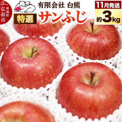 りんご 特選 白熊 サンふじ 絆 約3kg(9～12玉程度)|24_srk-040301a