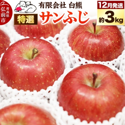 りんご 特選 白熊 サンふじ 絆 約3kg(9～12玉程度)|24_srk-040301b