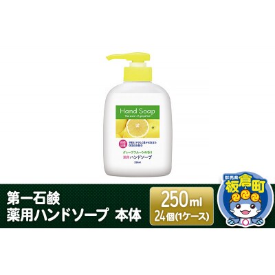 第一石鹸 薬用ハンドソープ 本体 250ml×24個(1ケース)|13_bsa-322401