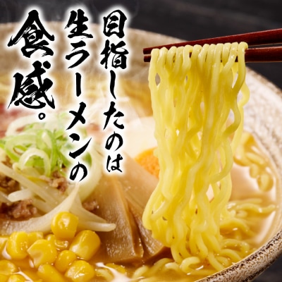 札幌直送 熟成乾燥西山ラーメン味噌1人前×10_hs040-013