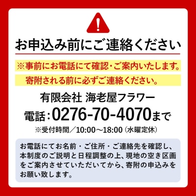 群馬県板倉町産 青パパイヤ オーナー制度|13_ebf-010101