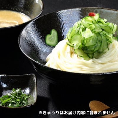 冷汁うどん 詰合せ 6人前(きゅうり無し)|13_hds-030601