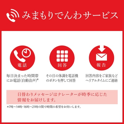 郵便局のみまもりサービス「みまもりでんわサービス(携帯電話)」(6カ月)|13_npy-030601