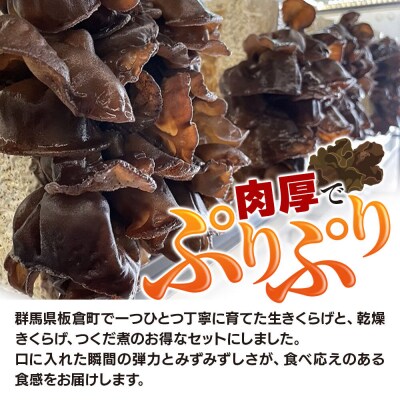 きくらげ 詰め合わせセット 群馬県産 3種 計5個|13_sko-010101