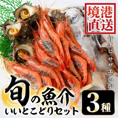 甘えび/旬のいか/サザエの詰合せ【5月中旬-9月中旬発送不可】