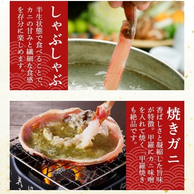 <11月中旬～3月中旬発送予定><期間限定>活松葉ガニ 特々大 1.2kg以上