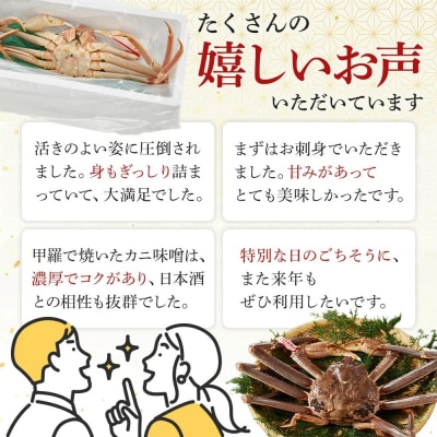 <11月中旬～3月中旬発送予定><期間限定>活松葉ガニ 特々大 1.2kg以上