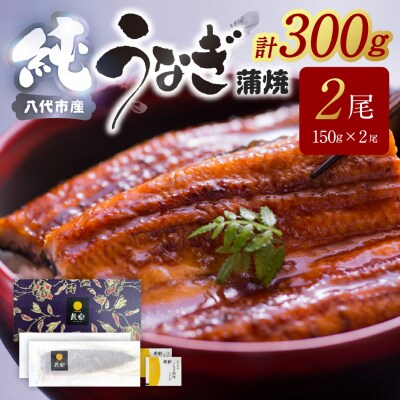 【先行予約】 うなぎ蒲焼2尾セット(150g×2尾)合計300g　たれ・山椒付き_309-7173