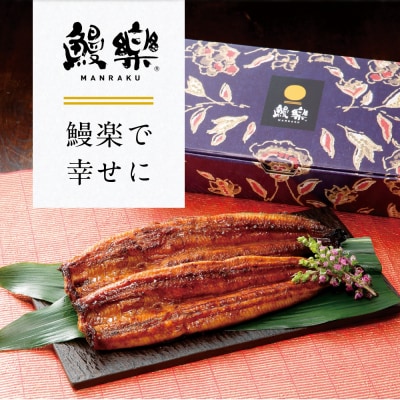 【先行予約】 うなぎ蒲焼2尾セット(150g×2尾)合計300g　たれ・山椒付き_309-7173