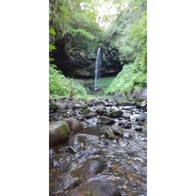 《定期便3ヶ月》【白米】秋田県産 あきたこまち 20kg×3回[No.5335-0058]