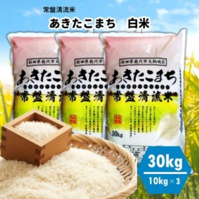 【白米】秋田県産 あきたこまち 30kg 常盤清流米[No.5335-0054]