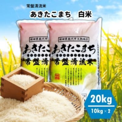 【白米】秋田県産 あきたこまち 20kg 常盤清流米[No.5335-0053]