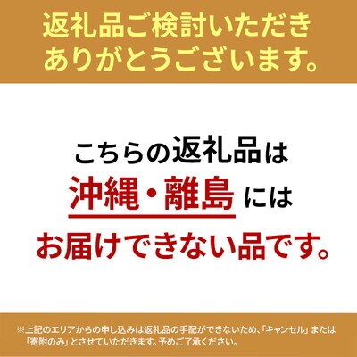 【8月～翌2月限定出荷】白神山地の麓で育った 白神ねぎ 産地直送[No.5335-0193]