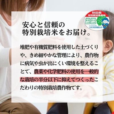 白米 特別栽培米 あきたこまち 5kg[No.5335-0045]