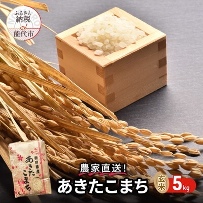 玄米 農家直送!秋田県産 あきたこまち 5kg[No.5335-0183]