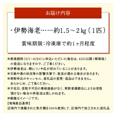 沖永良部島直送!素潜り漁師オススメの特大冷凍伊勢海老 約1.5～2キロ(1匹)!